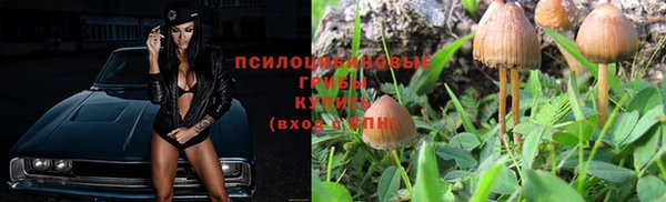 ГАЛЛЮЦИНОГЕННЫЕ ГРИБЫ Алапаевск