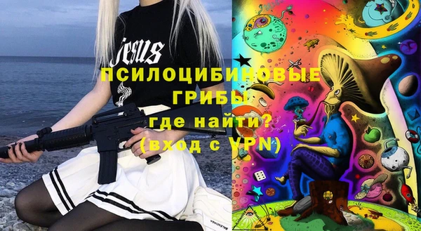 Альфа ПВП Анива