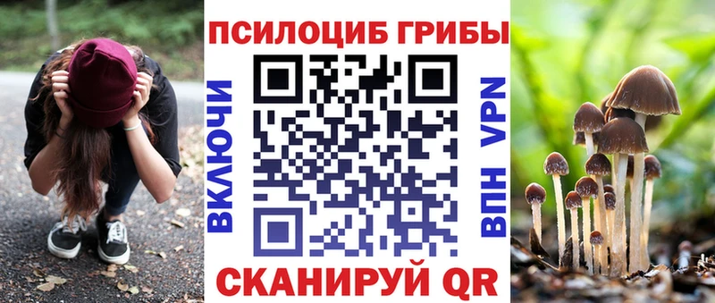 где продают наркотики  Ивангород  Галлюциногенные грибы мухоморы 